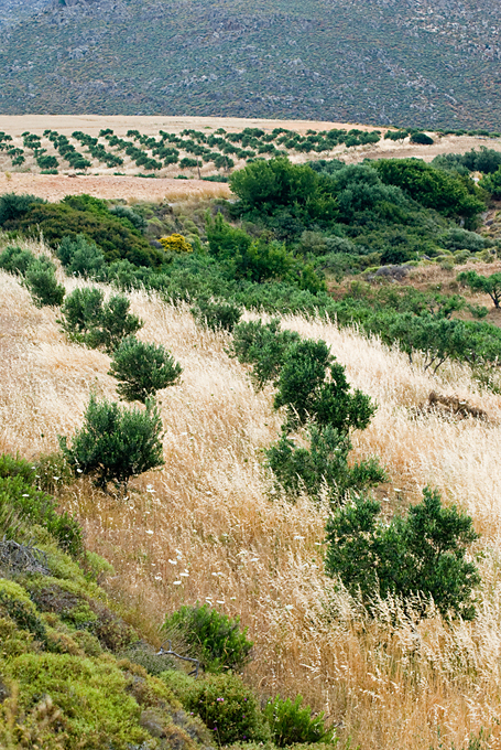 236_Kreta Wschodnia.jpg